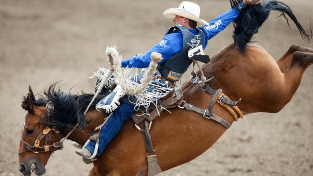 Popular rodeo in Calgary Alberta