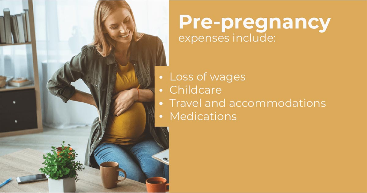 Pre-Pregnancy Expense Image