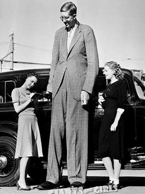 Tallest Man Image