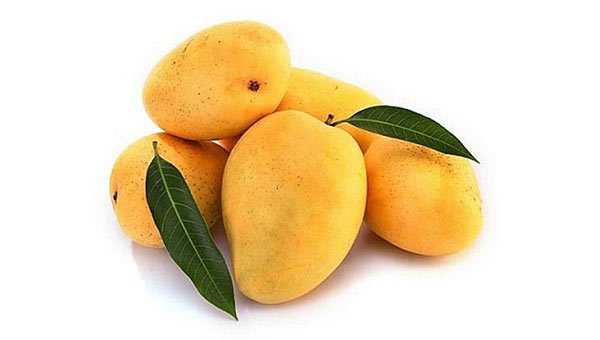 Mango Size Fetal Development