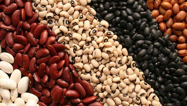 Beans - food to prevent acne
