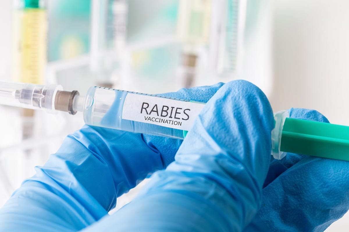 Rabies vaccine for humans