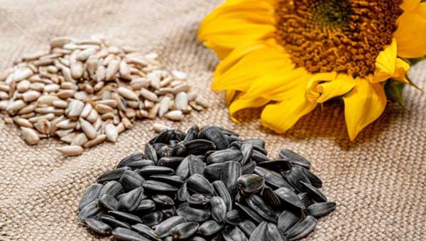 Sunflower Seeds food to prevent blood clots