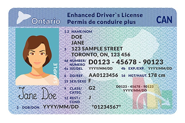 ontario driver license id card lady