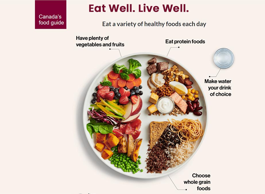 Canada Food Guide image
